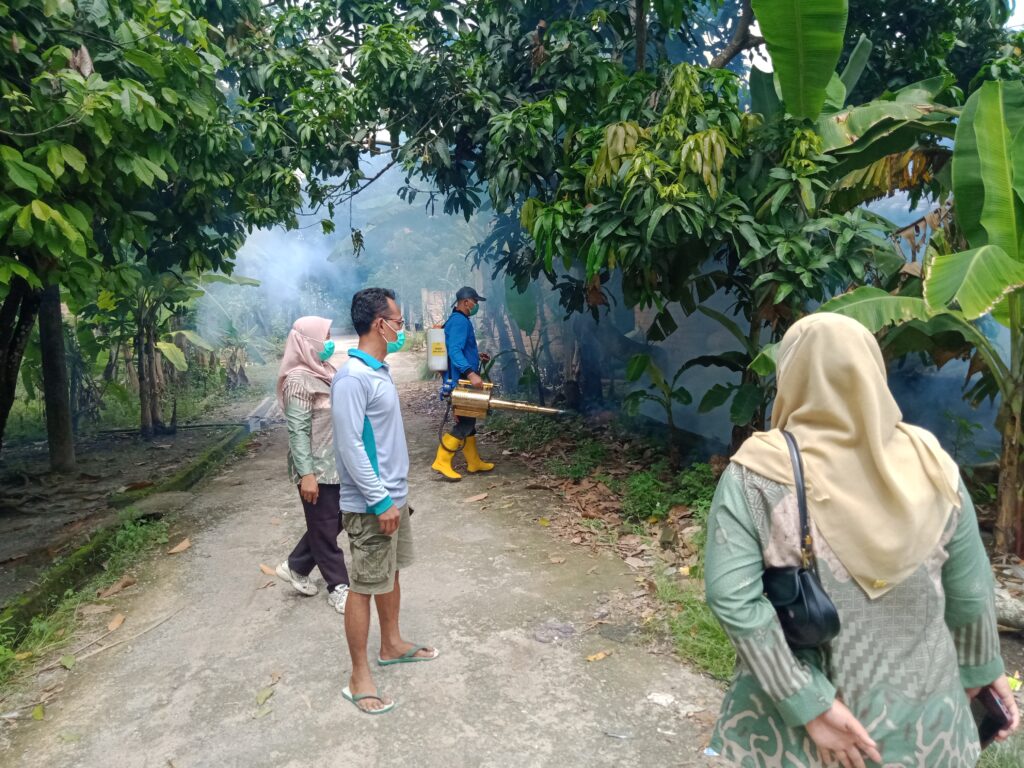 Untuk mengantisipasi penyebaran nyamuk Aedes Aegypti pemerintah desa kutosari kecamatan belitang III Kabupaten Ogan Komering Ulu Timur dan Puskesmas Nusa Bakti telah melakukan foging atau pengasapan dengan cara swadaya proses pengasapan sendiri dilakukan di dalam hingga halaman rumah ,serta selokan di sekitar pemukiman warga ,pemberantasan penyakit DBD harus terintegrasi mulai dari pencegahan ,penemuan penderita, pengamatan penyakit ,penyelidikan epidemiologi,penaggulangan ,dan penyuluhan kepada masyarakat mencegah terjadinya DBD membutuhkan dukungan dari masyarakat melalui program 3M plus ( menutup wadah penampungan air , mengubur atau membakar barang - barang bekas yang dapat menjadi sarang nyamuk dan menguras atau mengganti air di penampungan air ),juga bisa dilakukan dengan menghindari gigitan nyamuk menggunakan obat nyamuk oles ,menggunakan kelambu saat tidur dan menaburkan bubuk larvasida ,pemerintah desa kutosari juga menghimbau kepada masyarakat untuk menjaga kebersihan lingkungan serta selalu rajin membersihkan bak dan selokan agar tidak ada genangan air yang menyebabkan timbulnya nyamuk tersebut,meskipun sudah di foging masyarakat sendiri harus bisa menjaga lingkungan sekitar.